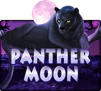 slot1234Panthermoon - SLOTXO