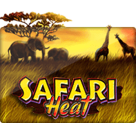 slot1234Safari Heat - SLOTXO