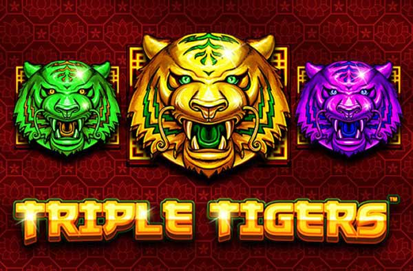 สมัครสล็อตXO1234ฟีเจอร์พิเศษในเกมสล็อต Triple Tigers