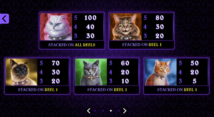 Pretty Kitty Microgaming slotxo247 สมัครสมาชิก