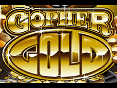 Gopher Gold Microgaming slotxo247 สมัครสมาชิก