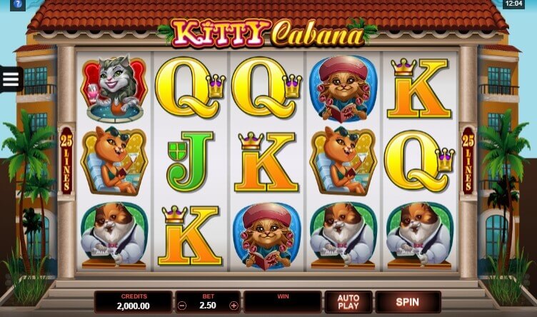 Kitty Cabana Microgaming slotxo247 สมัคร สล็อต