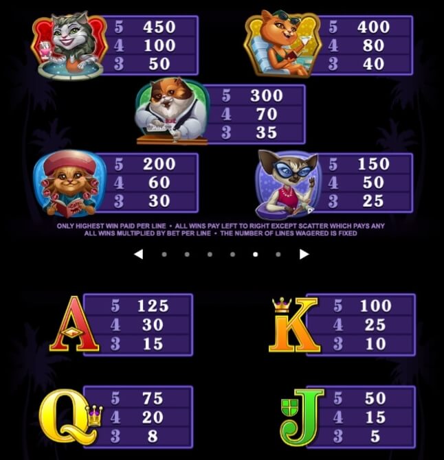 Kitty Cabana Microgaming slotxo247 สมัครสมาชิก