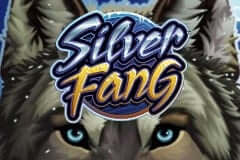 Silver Fang Microgaming slotxo247 ฝาก ถอน