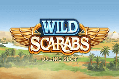 Wild Scarabs Microgaming slotxo247 ฝาก ถอน