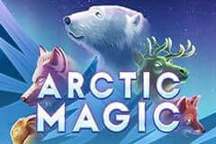 Arctic Magic Microgaming slotxo247 สมัครสมาชิก