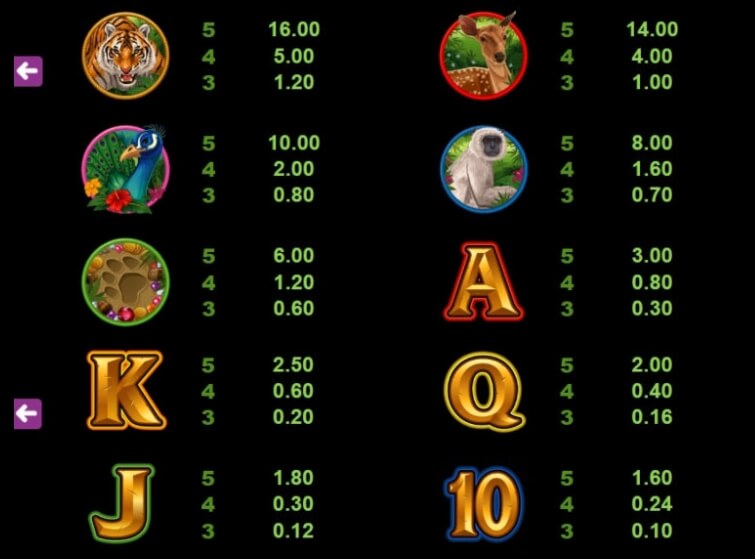 Tiger’s Eye Microgaming slotxo247 ฝาก ถอน