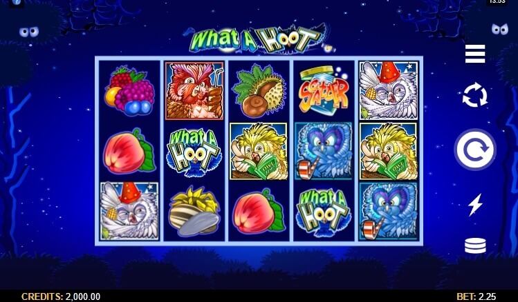 What a Hoot Microgaming slotxo247 ทดลองเล่นสล็อต