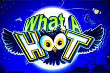 What a Hoot Microgaming slotxo247 สมัครสมาชิก