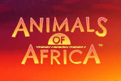 Animals of Africa Microgaming slotxo247 สมัครสมาชิก