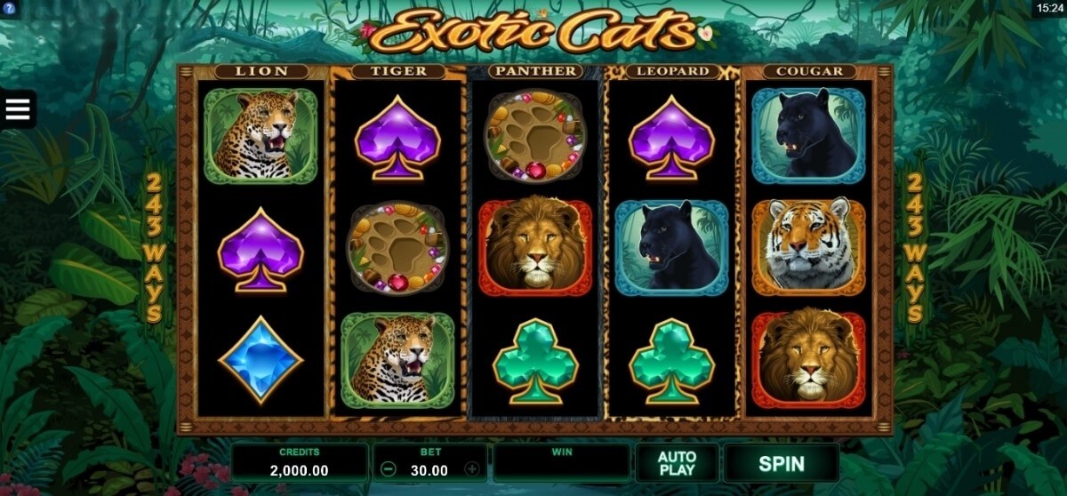 Exotic Cats Microgaming slotxo247 ทดลองเล่นสล็อต