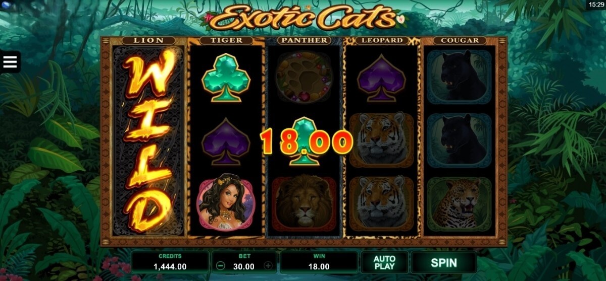 Exotic Cats Microgaming slotxo247 ฝาก ถอน