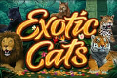 Exotic Cats Microgaming slotxo247 สมัครสมาชิก