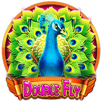 Double Fly CQ9gaming slotxo247 สมัครสมาชิก