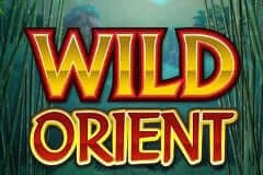 Wild Orient Megaways Microgaming slotxo247 สมัครสมาชิก