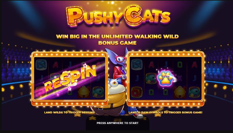 Pushy Cats สล็อตค่ายเกม Yggdrasil Game ส่งตรงจาก SLOTXO247