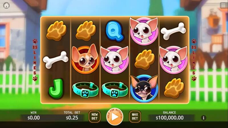 Chihuahua Party สล็อตค่ายเกม KA GAMING ส่งตรงจาก SLOTXO247