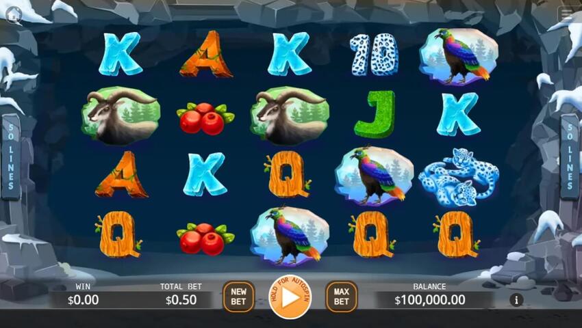 Snow Leopards สล็อตค่ายเกม KA GAMING ส่งตรงจาก SLOTXO247