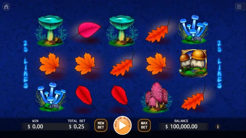 Trippy Mushrooms สล็อตค่ายเกม KA GAMING ส่งตรงจาก SLOTXO247