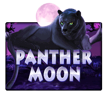 Panther Moon