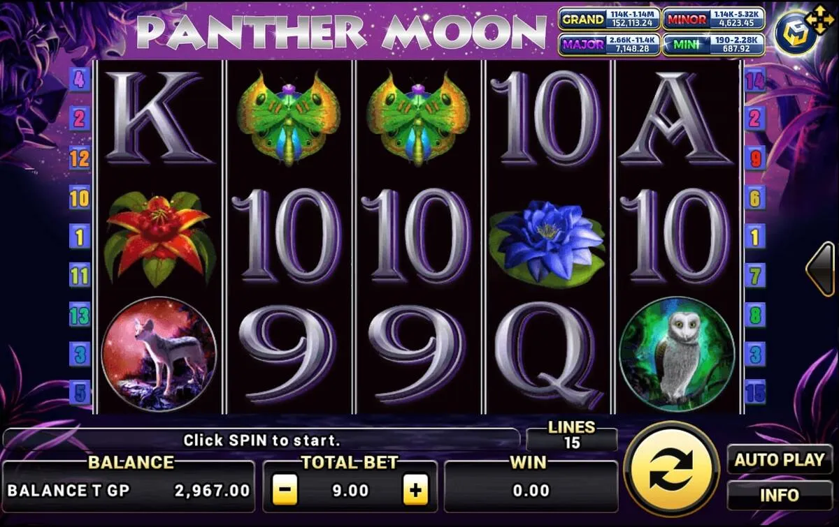 หน้าเกม Panther Moon แสดงเสือดำและบรรยากาศยามค่ำคืน