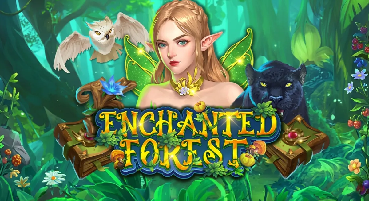 หน้ารีวิว Enchanted Forest บรรยากาศเวทมนตร์และธรรมชาติ