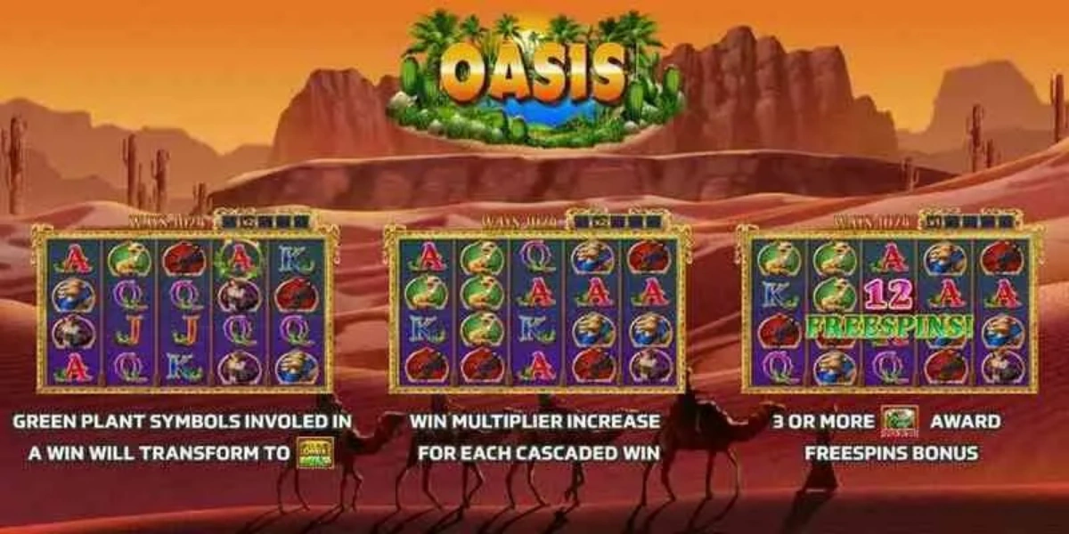 เอฟเฟกต์ชนะ Oasis พร้อมแสงสีทองและเหรียญกระจาย