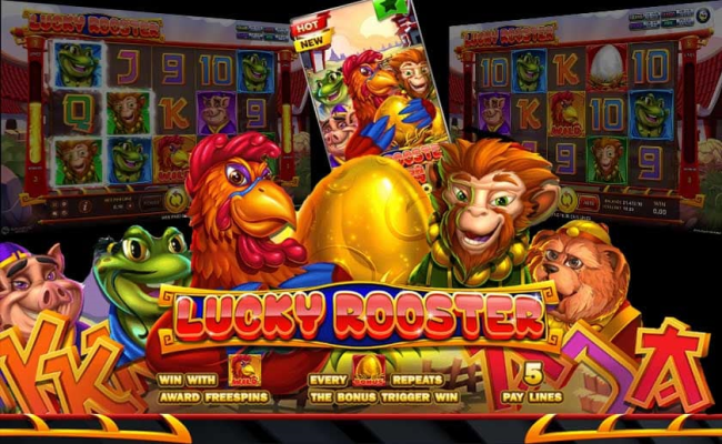 Lucky Rooster slotxo slotxo247 โปรโมชั่น