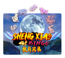 Sheng Xiao Bingo Slotxo Slotxo 247