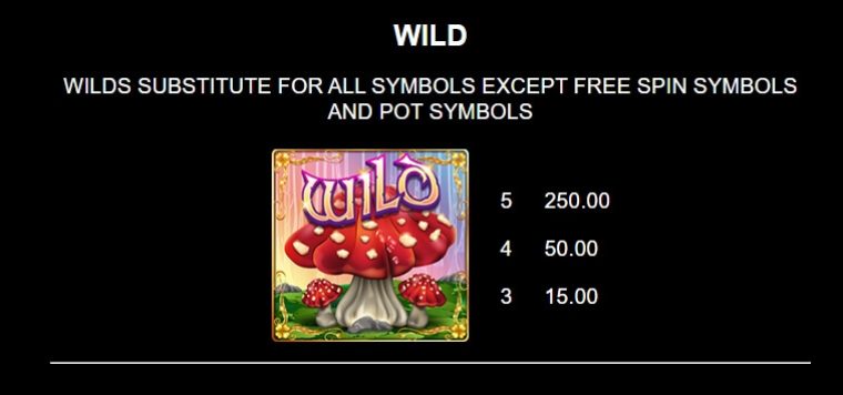 9 Pots of Gold HyperSpins Microgaming slotxo247 สมัครสมาชิก
