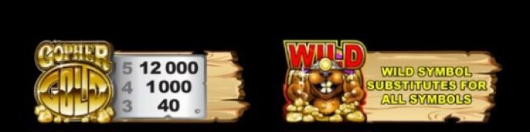 Gopher Gold Microgaming slotxo247 เว็บตรง