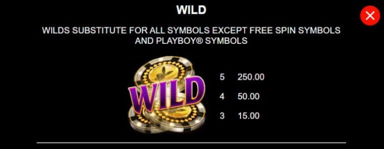 Playboy Fortunes Hyper Spins Microgaming slotxo247 เว็บตรง