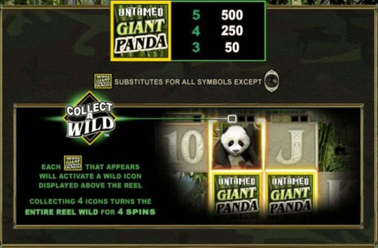 Untamed Giant Panda Microgaming slotxo247 เว็บตรง