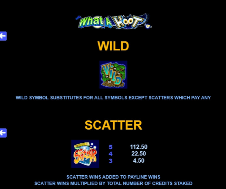 What a Hoot Microgaming slotxo247 เว็บตรง