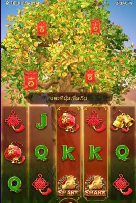 รีวิวเกมสล็อต Tree Of Fortune