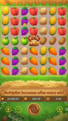 รีวิวเกมxoสล็อต Groundhog Harvest